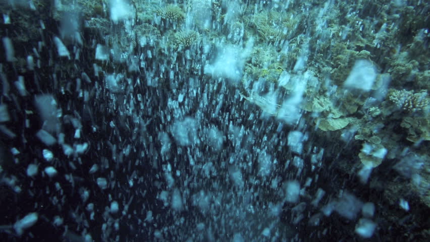Air Bubbles Rising To Ocean Surface From Scuba Divers Stock Footage ...