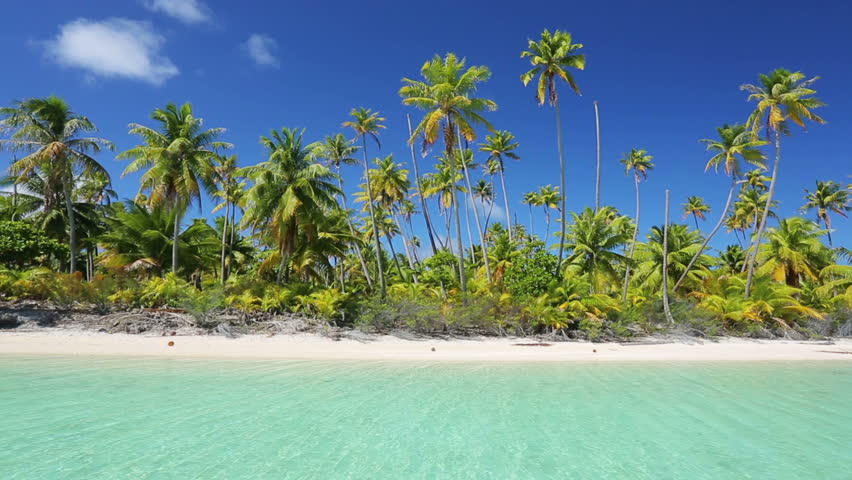 Tropical Island, Palm Trees And White Sand Stock Footage Video 6657983 ...