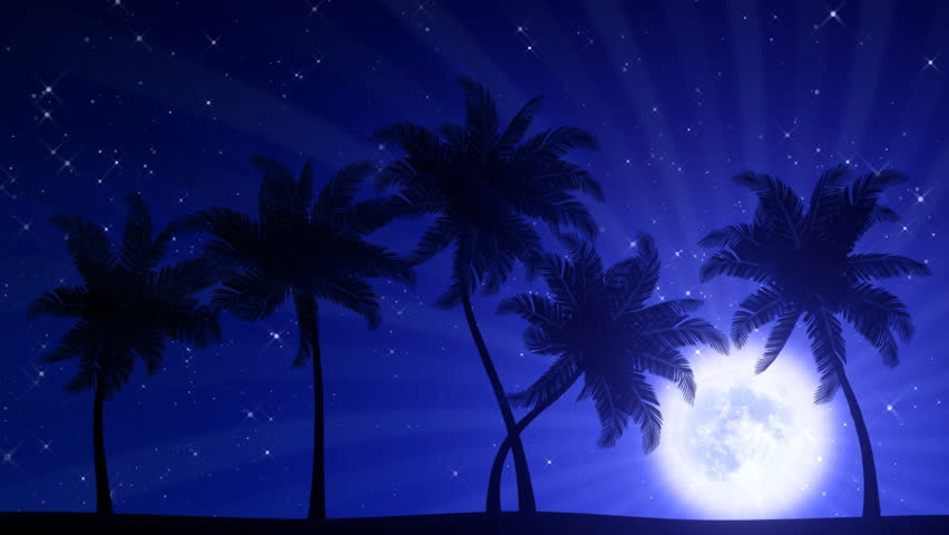 Image result for moon between palm trees