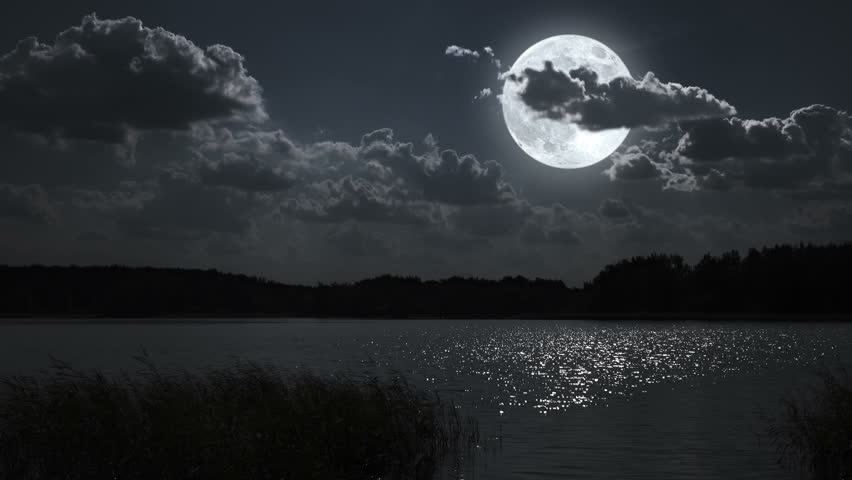 Full Moon Night Landscape With Forest Lake. Stock Footage Video 7229680 ...