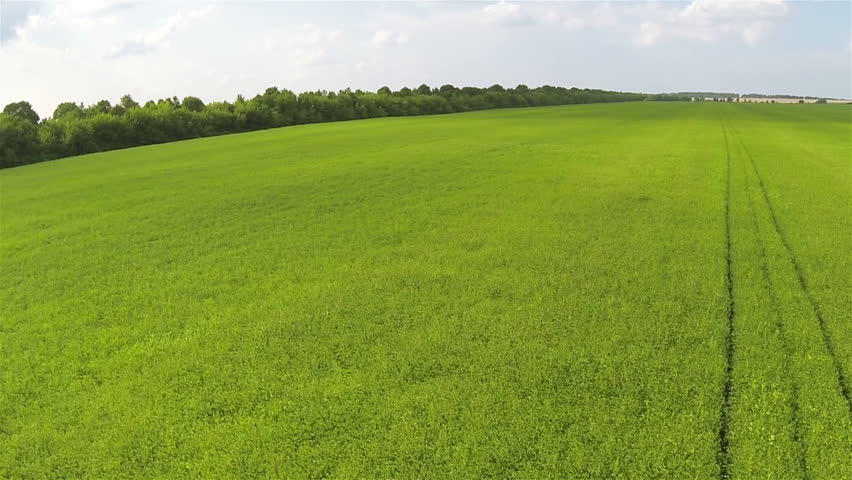 Fast Flight Over Green Field . Aerial Rural Landscape Stock Footage ...