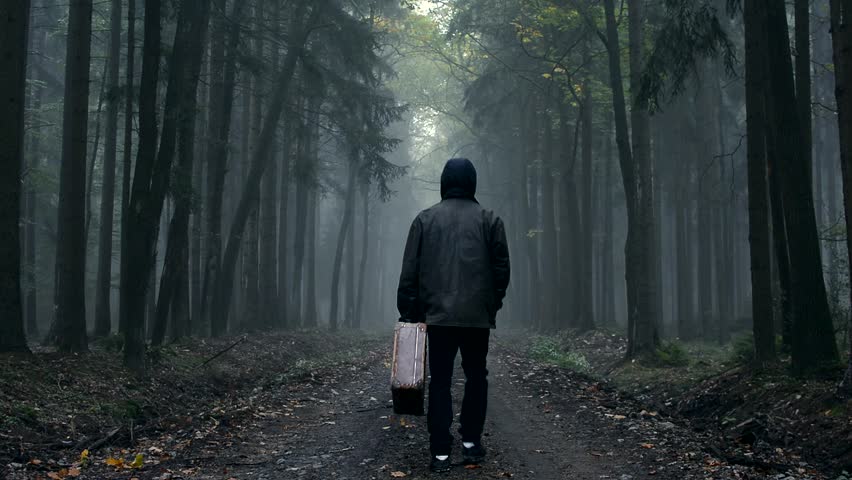 Man In Coat With Old Suitcase In A Foggy, Ghostly Autumn Forest Stock ...