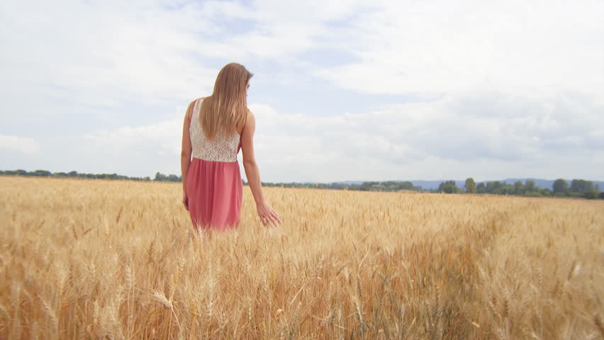 Beautiful Brunette Walking Through A Wheat Field Stock Footage Video ...