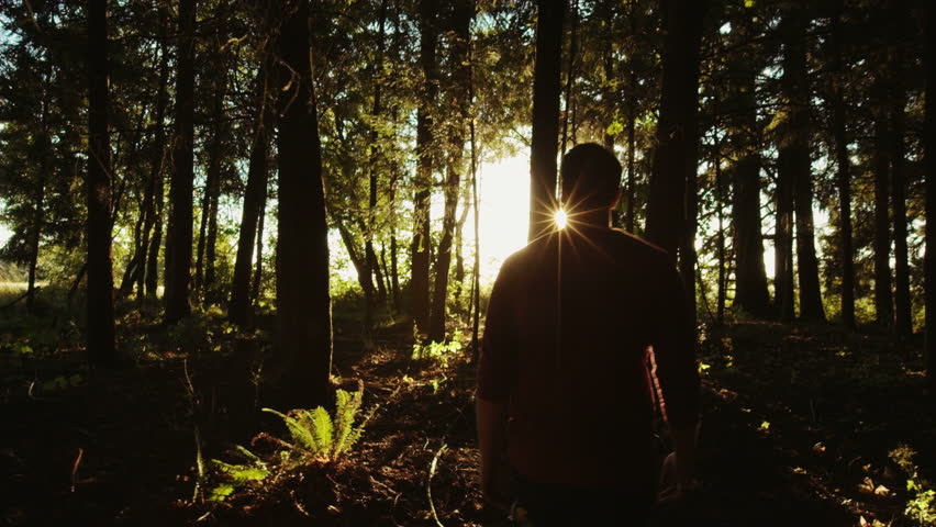 Following From Behind, Man Walking Through Forest Stock Footage Video ...