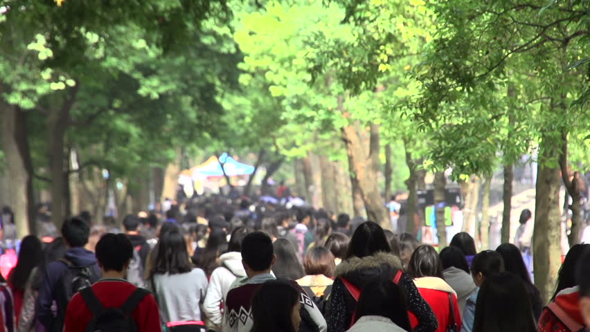 Crowd Young People On University Campus. Stock Footage Video 8294335 ...