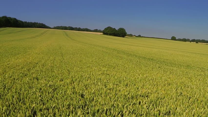 Aerial View Of UK Countryside And Farmland In Summer. High Above Green ...