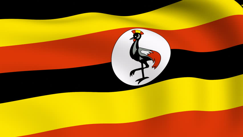 Ugandan Flag In The Wind. Part Of A Series. Stock Footage Video 1894795 ...